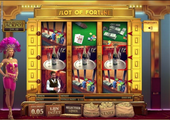 Video gokkast Slot of Fortune